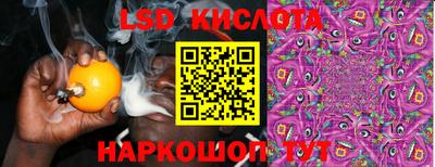 винт Новодвинск