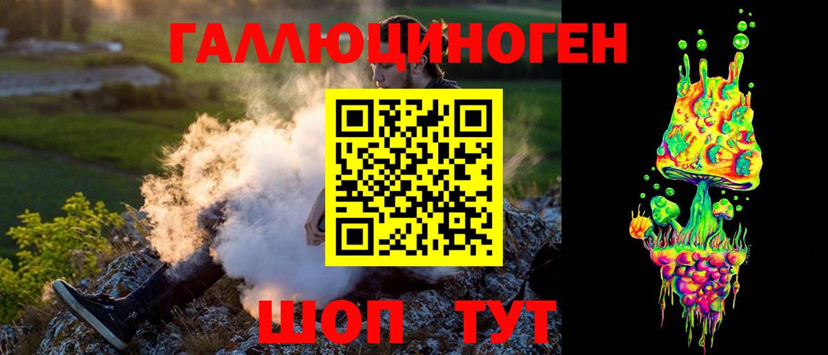 купить закладку  Псилоцибиновые грибы GOLDEN TEACHER  Вход с VPN  Симферополь 